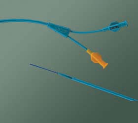 Ureteral Catheter Bard® Double Lumen 10 Fr. 20 Inch EA/1 - 130200