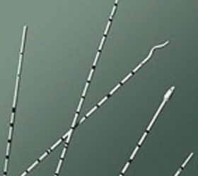 Ureteral Catheter Bard® Cone Tip Polyurethane 5 Fr. 28 Inch