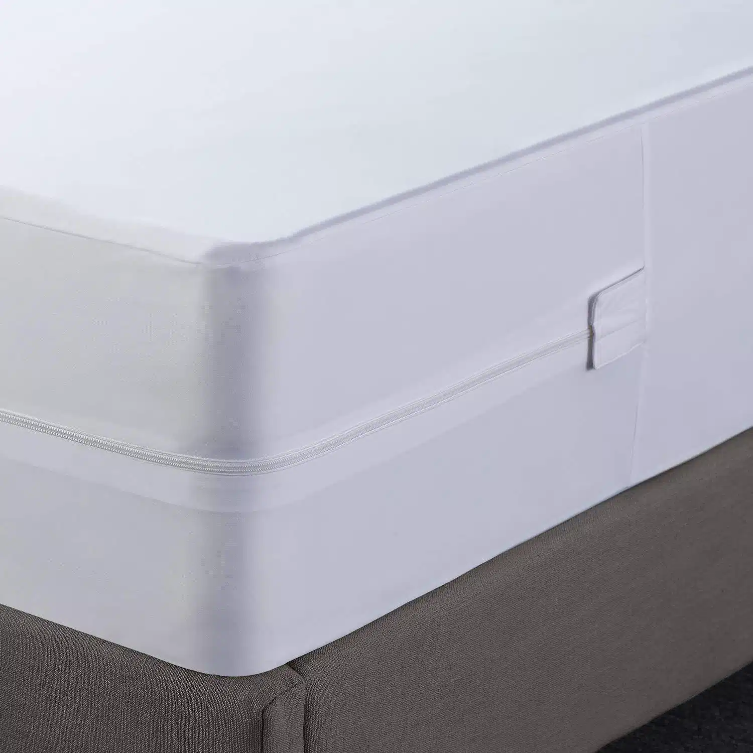 Cubbby Bed Mattress Protector